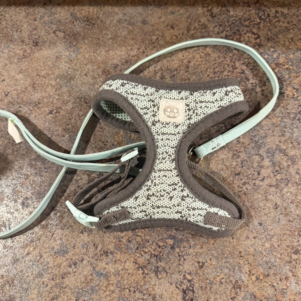 Cat Harness and leash